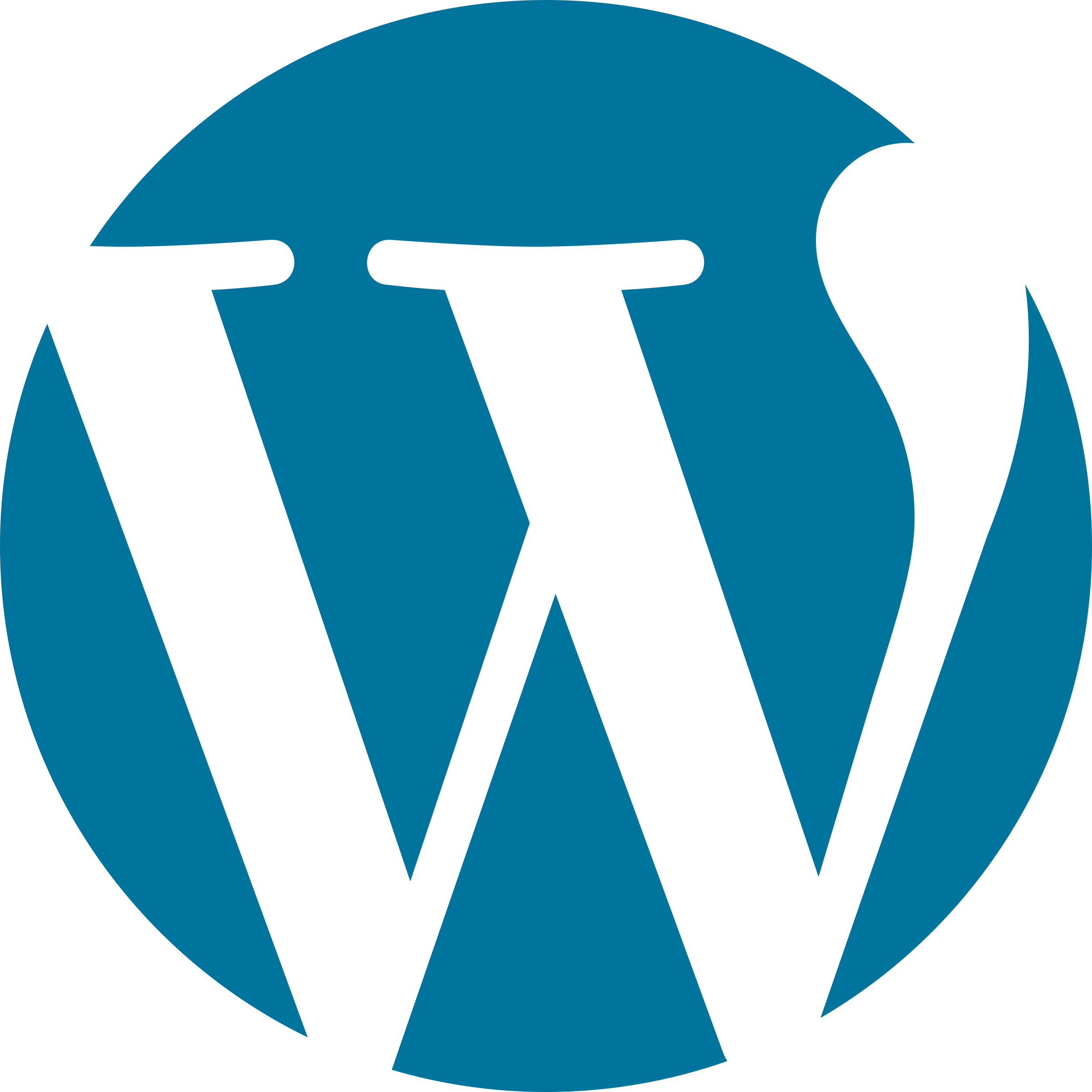 wordPress Development Services